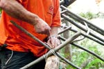 Survival Training